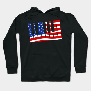 USA Flag Piano Pianist 4th July Hoodie